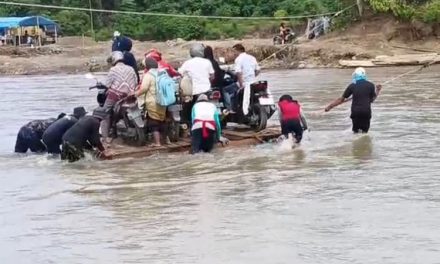 Kawasan Hutan Lindung Dalam DAS Harus Di Naikkan