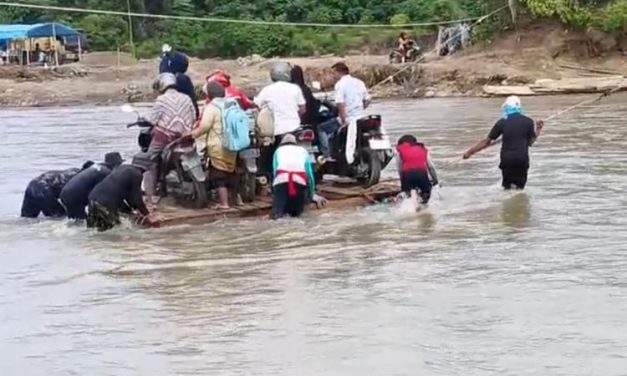 Kawasan Hutan Lindung Dalam DAS Harus Di Naikkan