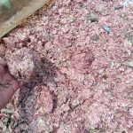 Kronologi Cacahan Uang Di Bekasi: Sempat Di Kira Sampah Medis