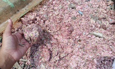 Kronologi Cacahan Uang Di Bekasi: Sempat Di Kira Sampah Medis