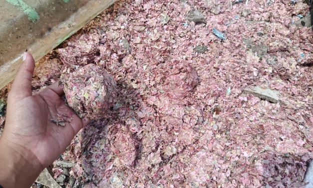 Kronologi Cacahan Uang Di Bekasi: Sempat Di Kira Sampah Medis