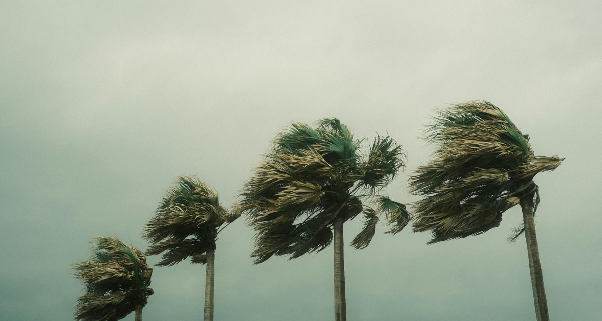 Update BMKG: Hujan Masih Mengintai, Daerahmu Aman?