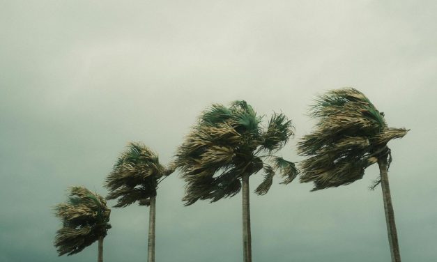 Update BMKG: Hujan Masih Mengintai, Daerahmu Aman?