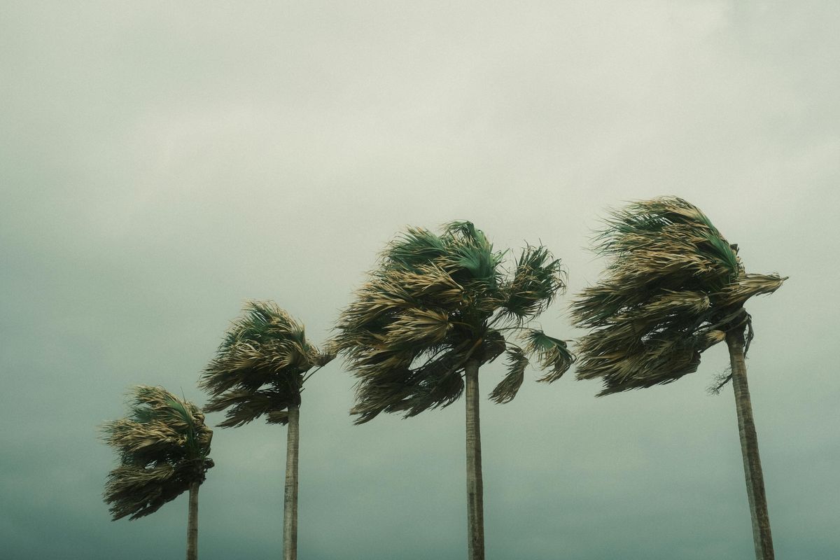 Update BMKG: Hujan Masih Mengintai, Daerahmu Aman?