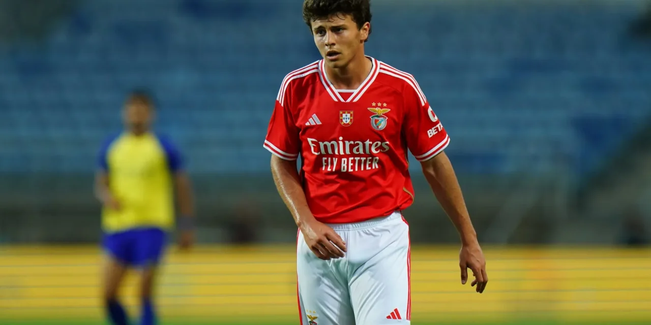 Magis Joao Neves: Dari Benfica Menuju Puncak Dunia