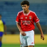 Magis Joao Neves: Dari Benfica Menuju Puncak Dunia