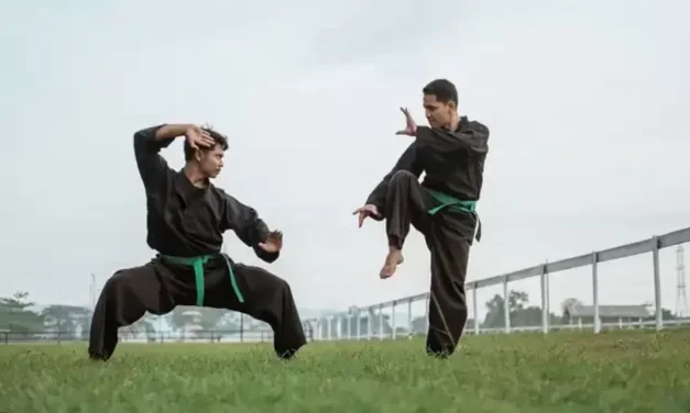 Baru Belajar Silat? Pahami Dulu Teknik Dasar Ini