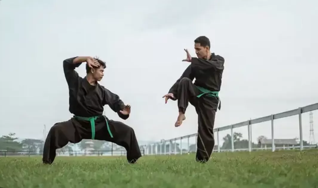 Baru Belajar Silat? Pahami Dulu Teknik Dasar Ini