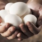 Bahaya Tersembunyi Di Balik Makan Telur Berlebih
