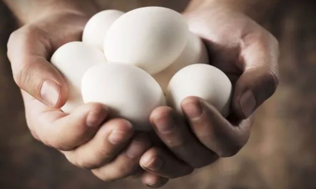 Bahaya Tersembunyi Di Balik Makan Telur Berlebih