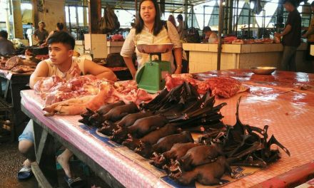 Bikin Merinding! Mengintip Pasar Paling Ekstrem Di Dunia