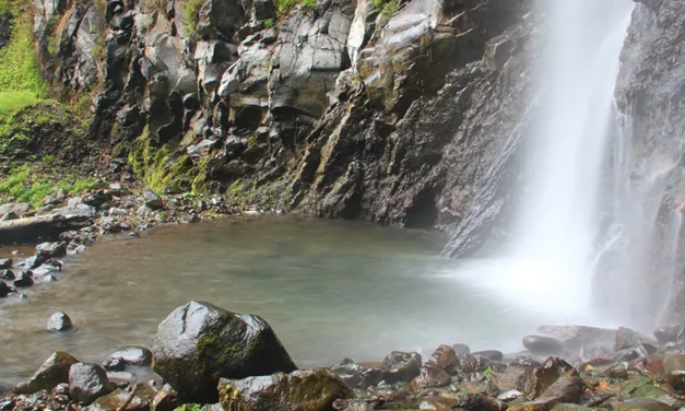 Rekomendasi Air Terjun Hits Di Jember Buat Hidden Gem-an