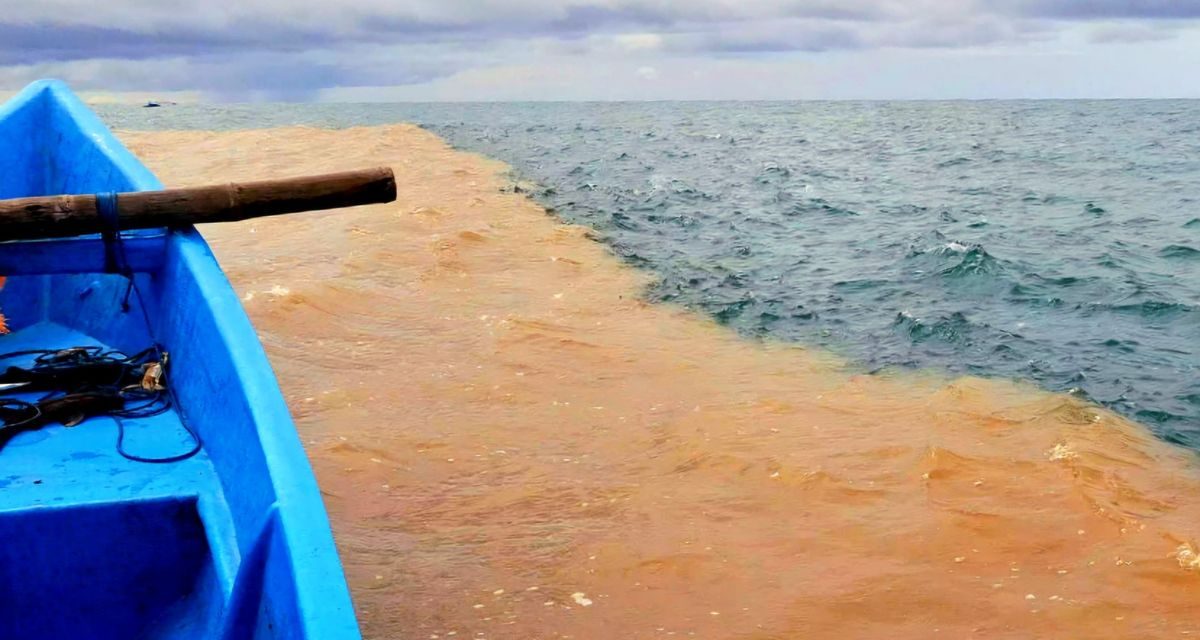 Laut Berubah Warna: Ini Penyebab Dan Bahayanya!
