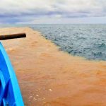 Laut Berubah Warna: Ini Penyebab Dan Bahayanya!