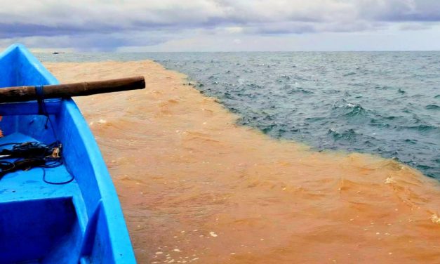 Laut Berubah Warna: Ini Penyebab Dan Bahayanya!