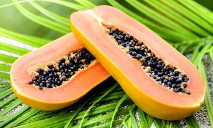 Pilihan Buah Terbaik Penjaga Fungsi Liver Dan Ginjal